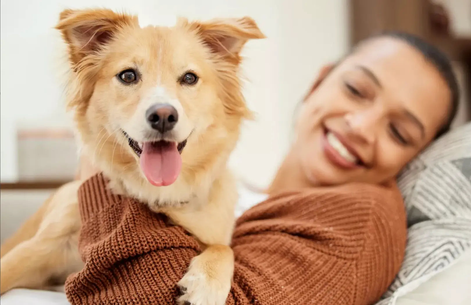 L'Évolution de la Place du Chien au Sein d'une Famille : De Gardien à Membre à Part Entière