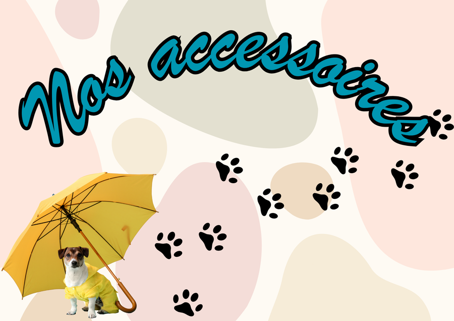 Nos accessoires