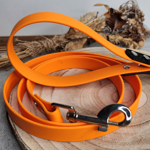 Laisse pour chien Sculpté Opale (1,9 cm de largeur)