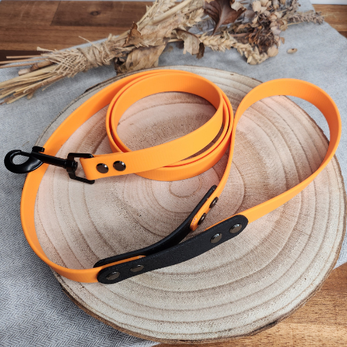 Laisse pour chien Sculpté (1,9 cm de largeur)