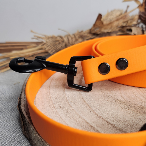 Laisse pour chien Sculpté (1,9 cm de largeur)