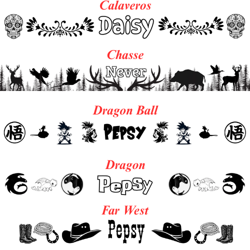 Laisse multi-position