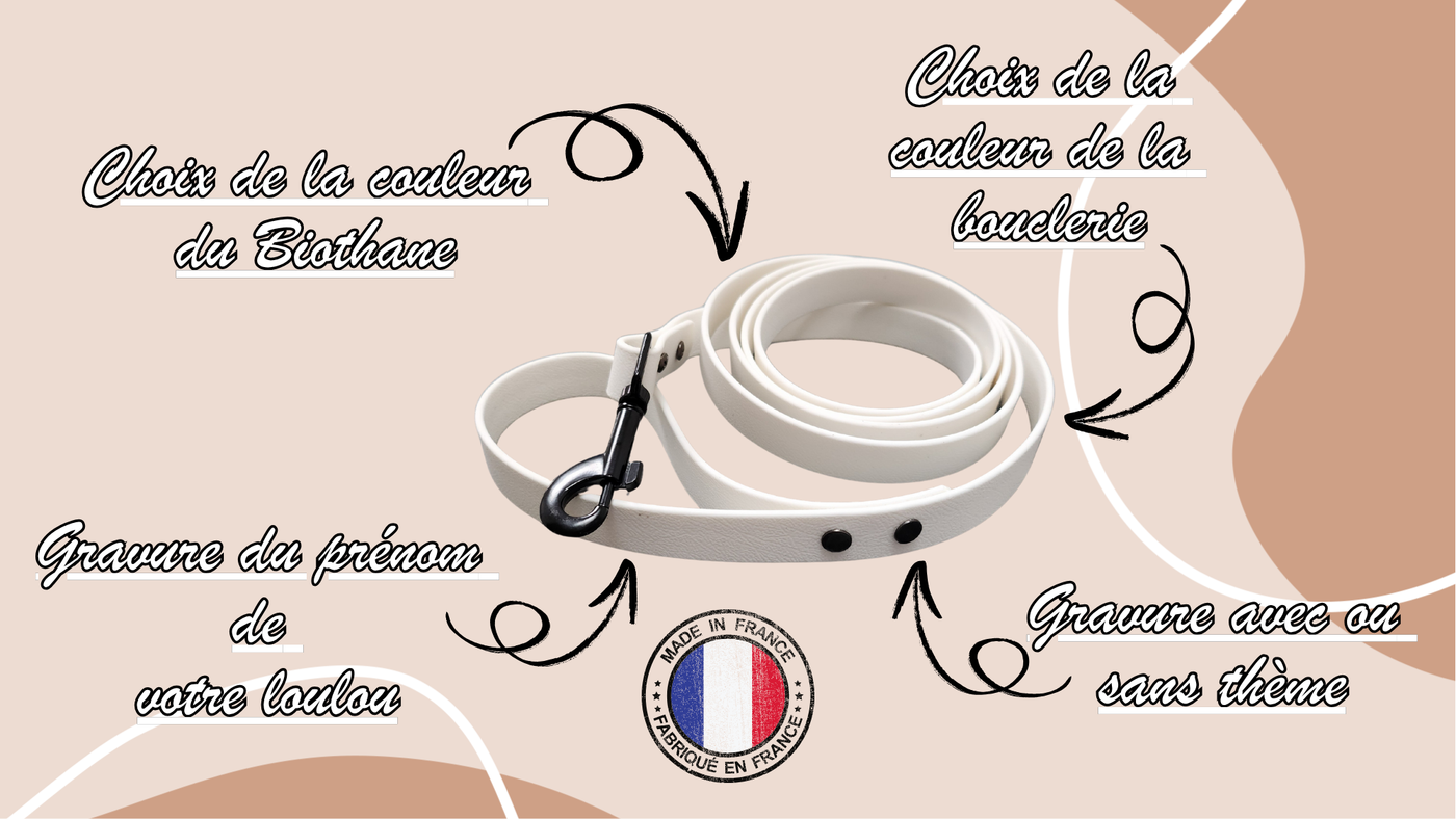 Laisse personnalisable  (1,9 cm de largeur)