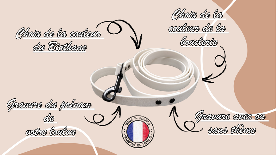 Laisse personnalisable  (1,9 cm de largeur)