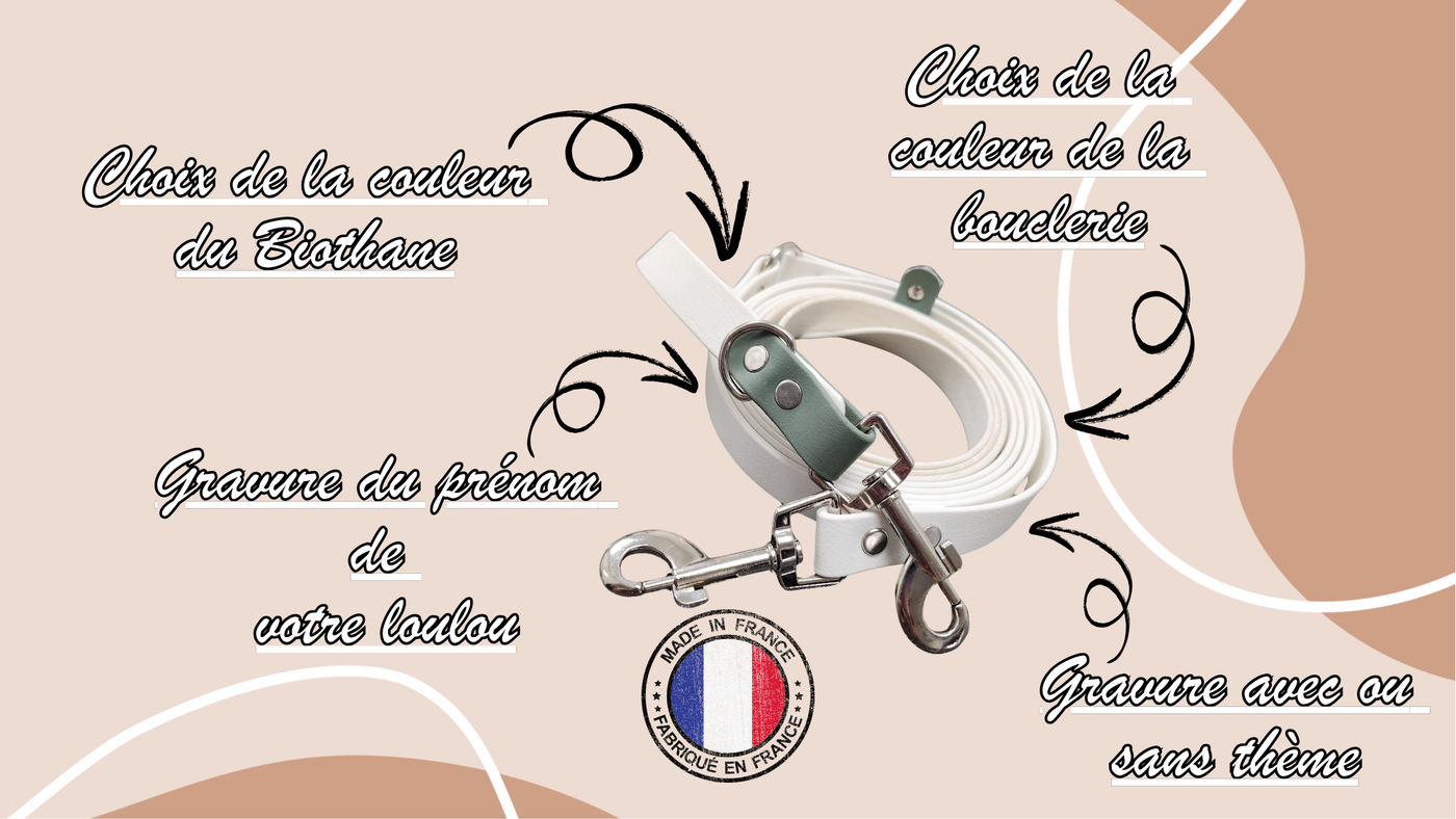 Laisse multi-position