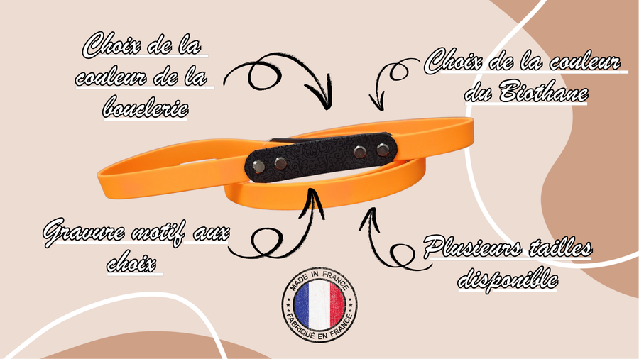 Laisse Sculpté (1,9 cm de largeur)