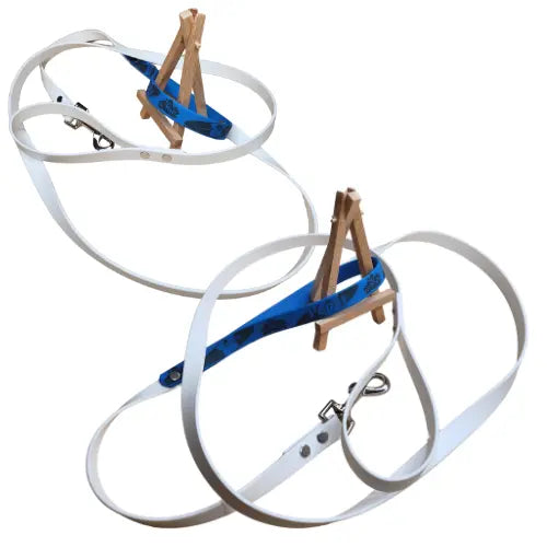 Laisse personnalisable 2 poignées (1,9 cm de largeur) Pepsy-shop