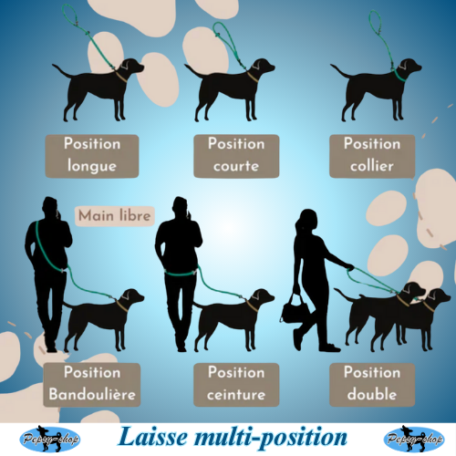 Laisse multi-position